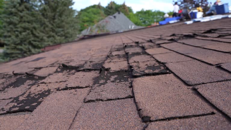 Best Steel Roofing  in South Dennis, MA